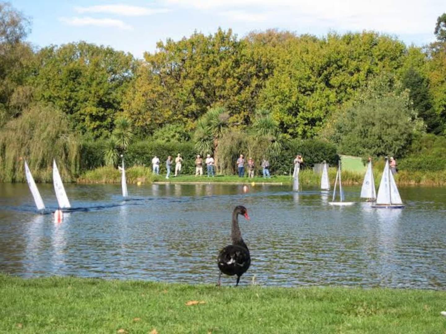 Hagley Park Hidden Gem Apartment Christchurch Luaran gambar