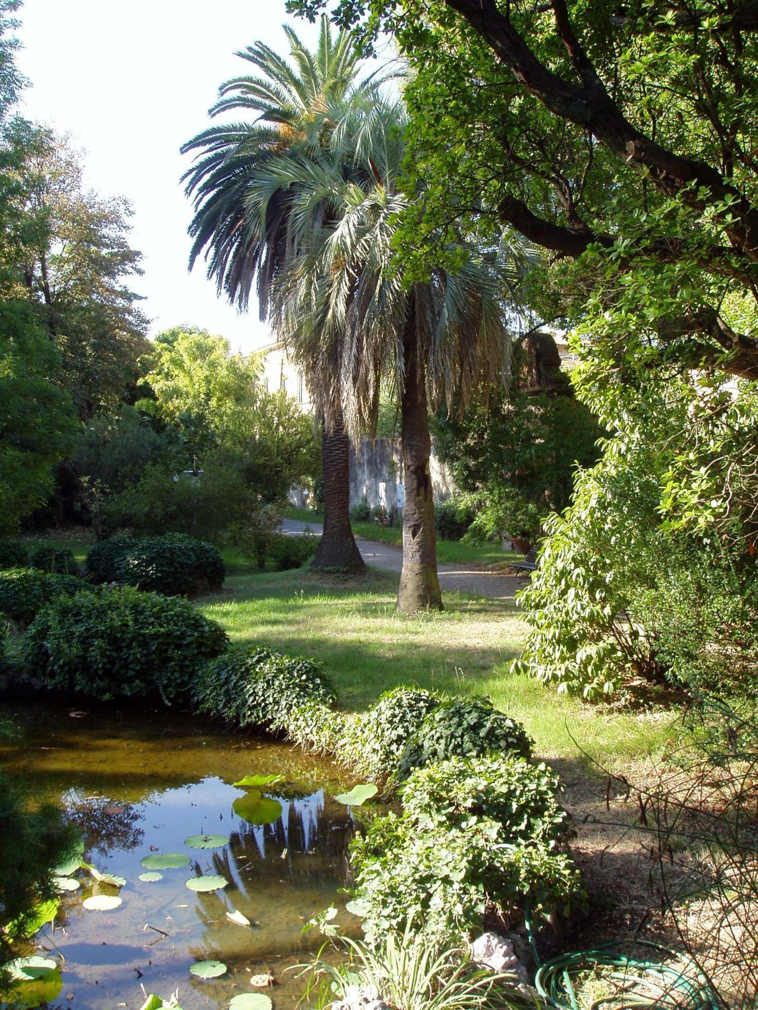 Hagley Park Hidden Gem Apartment Christchurch Luaran gambar